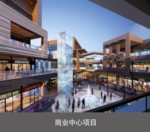 雙層簡易升降機械榴莲视频APP在线观看設備商業中心項目
