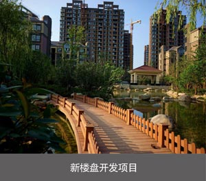雙層簡易升降機械榴莲视频APP在线观看設備新樓盤開發項目