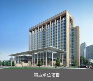 雙層簡易升降機械榴莲视频APP在线观看設備事業單位項目