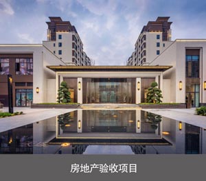 雙層簡易升降機械榴莲视频APP在线观看設備房地產驗收項目